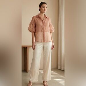Zara Brown Blouse